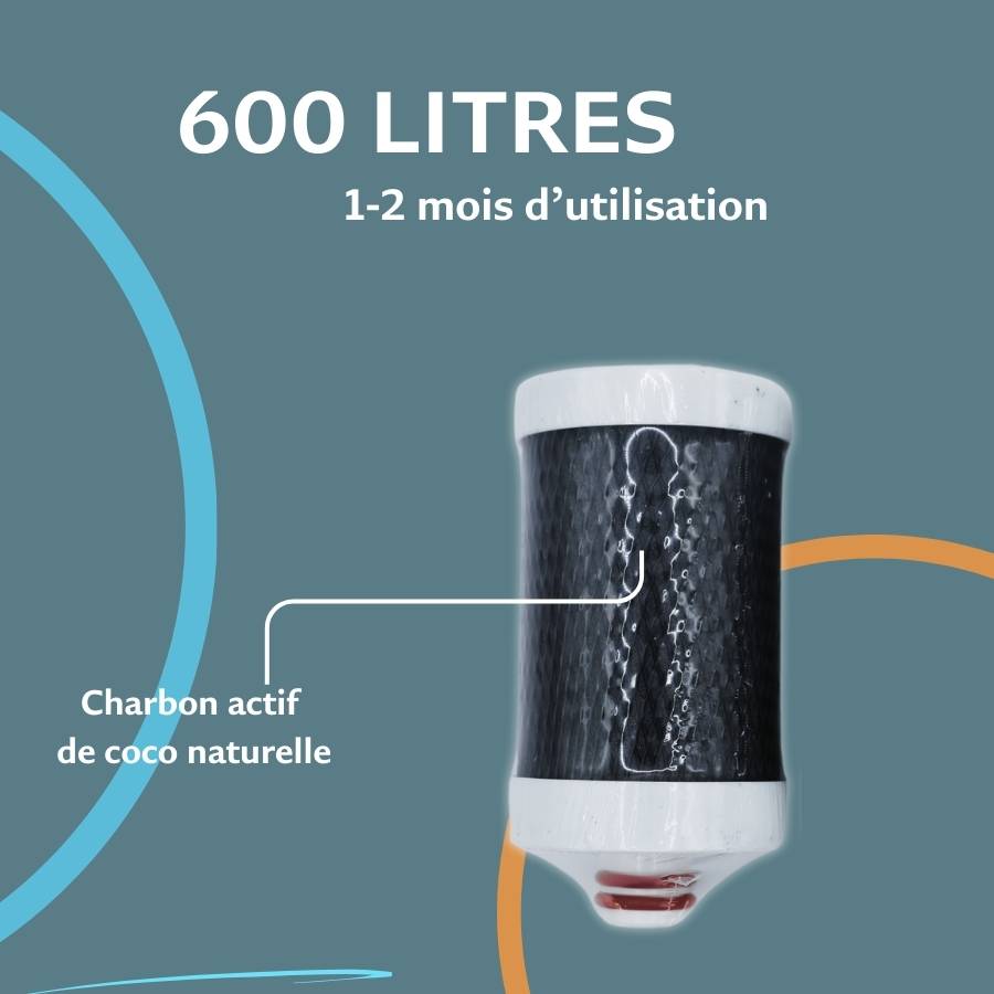 Filtre de rechange à charbon actif de coco